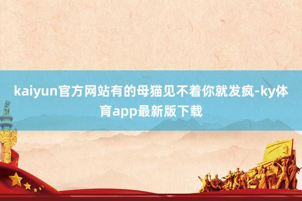 kaiyun官方網站有的母貓見不著你就發瘋-ky體育app最新版下載